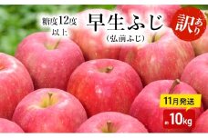 りんご 【 11月発送 】( 糖度12度以上 ) 訳あり品 家庭用 早生ふじ ( 弘前ふじ )約 10kg 【 青森りんご  果物類 美味しい 採れたて 選りすぐり 高糖度 ご家庭用 甘さ 驚き 果汁 土壌 肥料 】