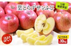 りんご 【12月・1月発送】 蜜入り 糖度13度以上 訳あり品 家庭用 葉とらず サンふじ 約 10kg 【 青森りんご 果物 フルーツ デザート 食後 おやつ 産地直送 】