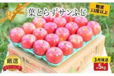 【 3月発送 】糖度13度以上 おもてなし用 葉とらず サンふじ 約 5kg 【 板柳町産 青森りんご 】果物 フルーツ デザート 食後 青森県産 産地直送 贈り物