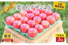 【 1月発送 】 糖度13度以上 おもてなし用 家庭用 葉とらず サンふじ 約 5kg 【 青森りんご 】 果物 フルーツ デザート 食後 青森県産 産地直送