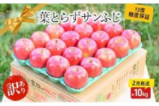 【 2月発送 】 糖度13度以上 訳あり品 家庭用 葉とらず サンふじ 約 10kg 【 青森りんご 】 果物 フルーツ デザート 食後 青森県産 産地直送