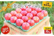 【 1月発送 】 糖度13度以上 訳あり品 家庭用 葉とらず サンふじ 約 10kg 【 青森りんご 】 果物 フルーツ デザート 食後 青森県産 産地直送