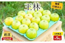 りんご 【1月発送】 糖度13度以上 おもてなし用 家庭用 王林 約 5kg 【 青森りんご  果物 フルーツ デザート 食後 青森県産 産地直送 贈り物  】