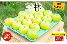 【3月クール便発送】（13度糖度保証）訳あり品 家庭用 王林約10kg【 青森りんご 果物 フルーツ デザート 食後 青森県産 産地直送 贈り物  】