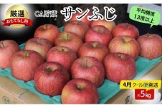 りんご 【4月クール便発送】 平均糖度13度以上 おもてなし用 家庭用 CA貯蔵 サンふじ 約 5kg 【 青森りんご 】 果物 フルーツ デザート 食後 おやつ シャキシャキ ジューシー りんごの王様