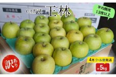 りんご 【4月クール便発送】 平均糖度13度以上 訳あり品 家庭用 CA貯蔵 王林 約 5kg 【 青森りんご 】 フルーツ リンゴ 青森県 王林りんご 家庭用 ジューシー