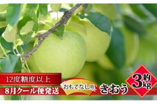 【8月クール便発送】（糖度12度以上）おもてなし用 家庭用 きおう約3kg【 青森りんご】