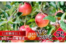 【9月クール便発送】（糖度12度以上）訳あり品 家庭用 サンつがる約5kg【 青森りんご】