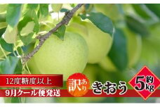 【9月クール便発送】（糖度12度以上）訳あり品 家庭用 きおう約5kg【 青森りんご】