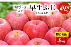 りんご 【 10月発送 】( 糖度12度以上 ) 訳あり品 家庭用 早生ふじ ( 弘前ふじ ) 約 5kg 【 青森りんご 】
