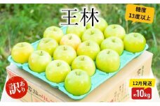 りんご【12月発送】糖度13度以上訳あり品 家庭用王林 約10kg【青森りんご】