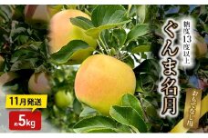 りんご【11月発送】糖度13度以上 ぐんま名月 おもてなし用 家庭用 約5kg 【青森りんご】