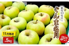 りんご【11月発送】糖度13度以上 訳あり品 家庭用 ぐんま名月 約5kg【青森りんご】