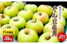 りんご【11月発送】糖度13度以上 訳あり品 家庭用 ぐんま名月 約10kg【青森りんご】