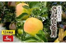 りんご【12月発送】糖度13度以上 ぐんま名月 おもてなし用 家庭用 約5kg【青森りんご】