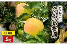 りんご【1月発送】糖度13度以上 ぐんま名月 おもてなし用 家庭用 約5kg【青森りんご】