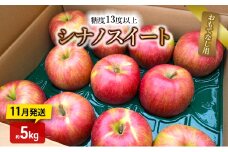 りんご【11月発送】糖度13度以上 シナノスイート おもてなし用 家庭用 約5kg【青森りんご】