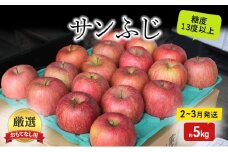 りんご【2月～3月発送】糖度13度以上 おもてなし用 家庭用 サンふじ 約5kg【青森りんご】果物類 フルーツ 林檎 リンゴ 弘前市 青森県 おやつ デザート