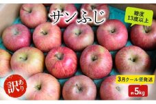 りんご【3月クール便発送】糖度13度以上 訳あり品 家庭用 サンふじ 約5kg【青森りんご】果物類 フルーツ 林檎 リンゴ 弘前市 青森県 おやつ デザート