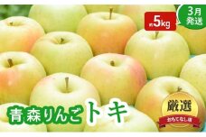 【3月発送】おもてなし用 家庭用 葉とらず トキ 約5kg【青森りんご】果物 フルーツ デザート 食後 青森県産 産地直送