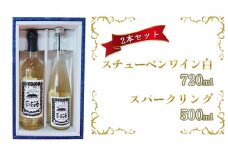 [№5554-0029]スチューベンワイン白＆スパークリングﾞ500mlセット