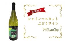 [№5554-0120]シャインマスカットぶどうワイン 750ml×1本
