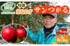 [№5554-0124]9月発送 贈答用 葉取らず サンつがる 約 5kg【 特選 】鶴翔りんごGAP部会 青森県産 津軽産 リンゴ 林檎 つがる 果物類 ギフト 