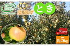 [№5554-0126]10月発送 贈答用 葉取らずとき 約 5kg【 特選 】鶴翔りんごGAP部会 青森県産 津軽産 リンゴ 林檎 トキ 果物類 JGAP認証 安心 甘い ギフト 