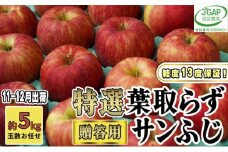 [№5554-0130]11～12月発送【 糖度保証 】 贈答用 葉取らず サンふじ 約 5kg 【 特選 】鶴翔りんごGAP部会 青森県産 津軽産 リンゴ 林檎 果物類 高糖度 ギフト 
