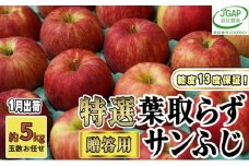 [№5554-0132]1月発送【 糖度保証 】贈答用 葉取らず サンふじ 約 5kg 【 特選 】鶴翔りんごGAP部会 青森県産 津軽産 リンゴ 林檎 果物 JGAP認証 安心 丸かじり 甘い 高糖度 ギフト 