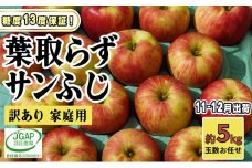 [№5554-0176]11～12月発送【 糖度保証 】家庭用 葉取らず サンふじ 約 5kg【 訳あり 】鶴翔りんごGAP部会 青森県産 津軽産 リンゴ 林檎 果物 フルーツ デザート 甘味 酸味 食感 