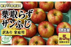 [№5554-0178]1月発送【 糖度保証 】家庭用 葉取らず サンふじ 約 5kg【 訳あり 】鶴翔りんごGAP部会 青森県産 津軽産 リンゴ 林檎 果物 フルーツ デザート 甘味