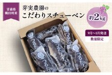 [№5554-0186]【 数量限定 】芽実農園 農家直送 スチューベン 約 2kg【 9月 ～ 1月発送 】青森県鶴田町産 果物 フルーツ ぶどう おやつ デザート 食後 冬ぶどう