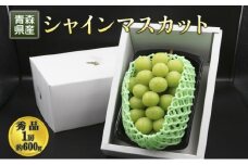 [№5554-0196]青森県産 シャインマスカット 秀品 1房 約600g 果物 ぶどう フルーツ 豊かな甘み 種無し 皮ごと 大粒 化粧箱入り デザート