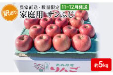 [№5554-0208]【 農家直送 数量限定 】 11～12月発送 家庭用 サンふじ 約 5kg 【 訳あり 】 果物 フルーツ 青森りんご シャキシャキ