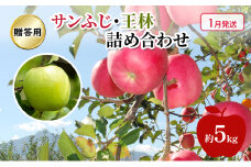 [№5554-0228]りんご 【 1月発送 】 贈答用 サンふじ ・ 王林 詰め合わせ 約 5kg
