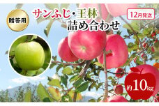 [№5554-0231]りんご 【 12月発送 】 贈答用 サンふじ ・ 王林 詰め合わせ 約 10kg