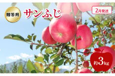 [№5554-0237]りんご 【 2月発送 】 贈答用 サンふじ 約 3kg