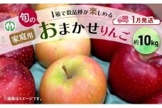 [№5554-0244]りんご 【 1月発送 】 家庭用 旬のりんご 品種おまかせ 約 10kg 2種類～4種類