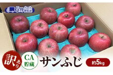 [№5554-0257]りんご 【5月クール便配送】 CA貯蔵 訳あり サンふじ 約 5kg リンゴ 果物 訳アリ 青森県 鶴田町