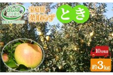 [№5554-0270]10月発送 家庭用 葉取らず とき 約 3kg【 訳あり 】鶴翔りんごGAP部会 青森県産 津軽産 リンゴ 林檎 トキ 果物類 フルーツ りんご