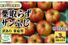 [№5554-0271]11～12月発送【 糖度保証 】家庭用 葉取らず サンふじ 約 3kg【 訳あり 】鶴翔りんごGAP部会 青森県産 津軽産 リンゴ 林檎 果物 フルーツ デザート 甘味 酸味 食感