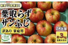 [№5554-0273]2月発送【 糖度保証 】家庭用 葉取らず サンふじ 約 3kg【 訳あり 】鶴翔りんごGAP部会 青森県産 津軽産 リンゴ 林檎 果物 フルーツ デザート 甘味