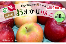[№5554-0266]りんご 【 1月発送 】 家庭用 旬のりんご 品種おまかせ 約 10kg 2品種～5品種 果物類 フルーツ 林檎 リンゴ 鶴田町 青森県 おやつ デザート