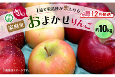 [№5554-0265]りんご 【 12月発送 】 家庭用 旬のりんご 品種おまかせ 約 10kg 2品種～5品種 果物類 フルーツ 林檎 リンゴ 鶴田町 青森県 おやつ デザート
