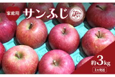 [№5554-0288]1月発送 家庭用 訳あり サンふじ 約 3kg りんご リンゴ 林檎 果物 フルーツ わけあり 青森