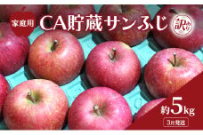 [№5554-0291]3月発送 家庭用 訳あり CA貯蔵 サンふじ 約 5kg りんご リンゴ 林檎 果物 フルーツ わけあり 青森