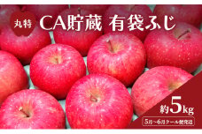 [№5554-0295]5月～6月 クール便発送 丸特 CA貯蔵 有袋ふじ 約 5kg アイスBOXクール便 りんご リンゴ 林檎 果物 フルーツ 青森
