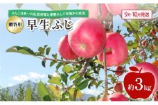 [№5554-0277]【 9月・10月発送 】 贈答用 早生ふじ 約 3kg 【 青森県鶴田町産 りんご 青森りんご 】果物類 フルーツ 林檎 リンゴ 鶴田町 青森県 おやつ デザート