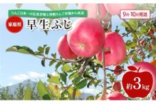 [№5554-0279]【 9月・10月発送 】 家庭用 早生ふじ 約 3kg 【 青森県鶴田町産 りんご 青森りんご 】果物類 フルーツ 林檎 リンゴ 鶴田町 青森県 おやつ デザート